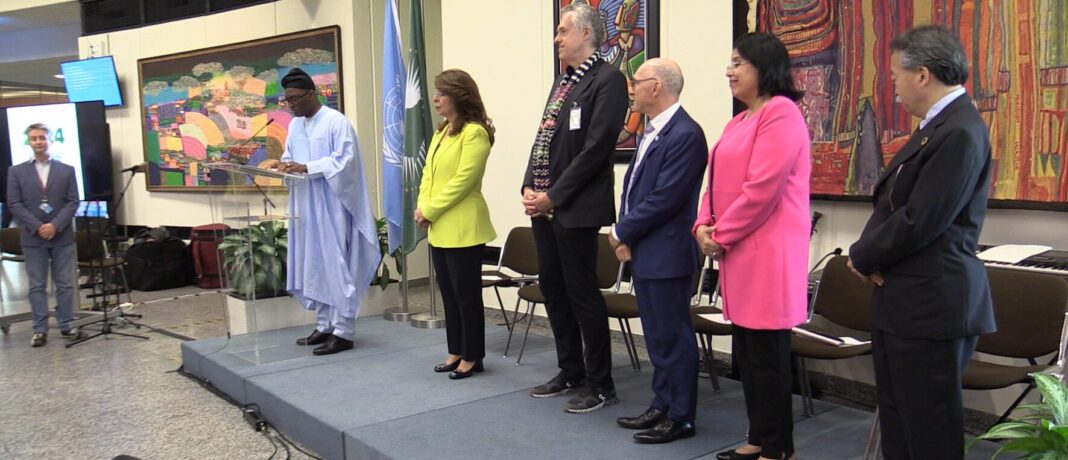 Celebrating Africa Day in Vienna: A Vibrant Cultural Extravaganza Celebrating Africa Day in Vienna: A Vibrant Cultural Extravaganza