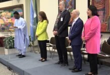 Celebrating Africa Day in Vienna: A Vibrant Cultural Extravaganza