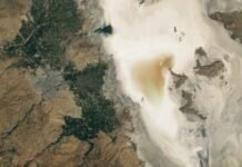 Wetlands in Iran and Sustainable Development: A Critical Examination