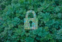 Analyzing the New Microsoft Vulnerabilities Report: Trends and Implications for Security Strategies