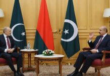 Mediation Diplomacy in a Multipolar Era: The Cases of Belarus and Pakistan